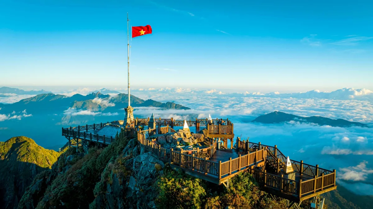 Sapa